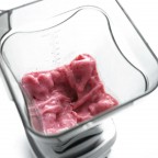 Omega 3HP Blender, High / Low Speed (BL422S Silver)