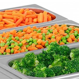 Thermal Pro Electric Bain Marie - Analog & Vertical (BME-100D)