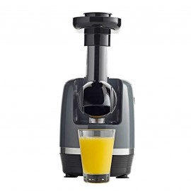 Omega Horizontal Slow Masticating Juicer (H3002B Grey)