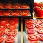 Excalibur 9-Tray 26-Hour Food Dehydrator (Black)